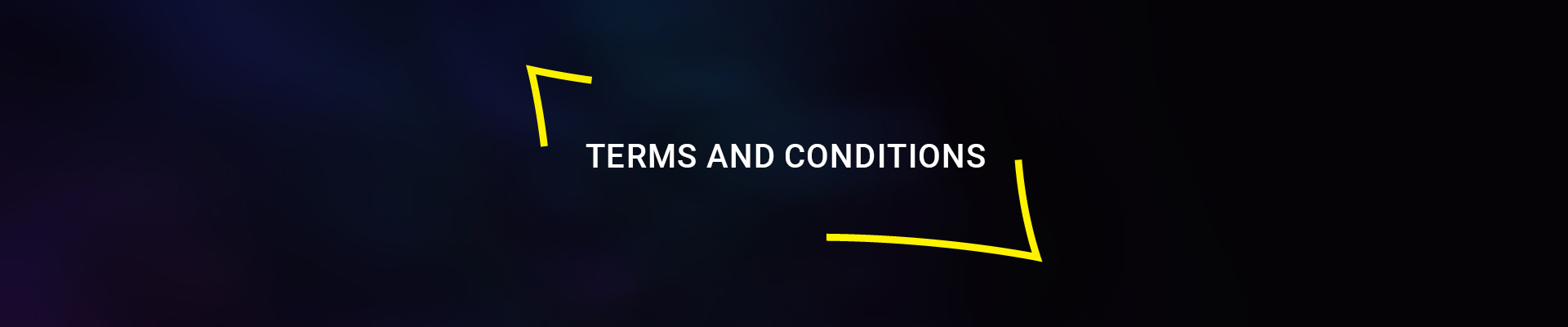 Terms and Conditions